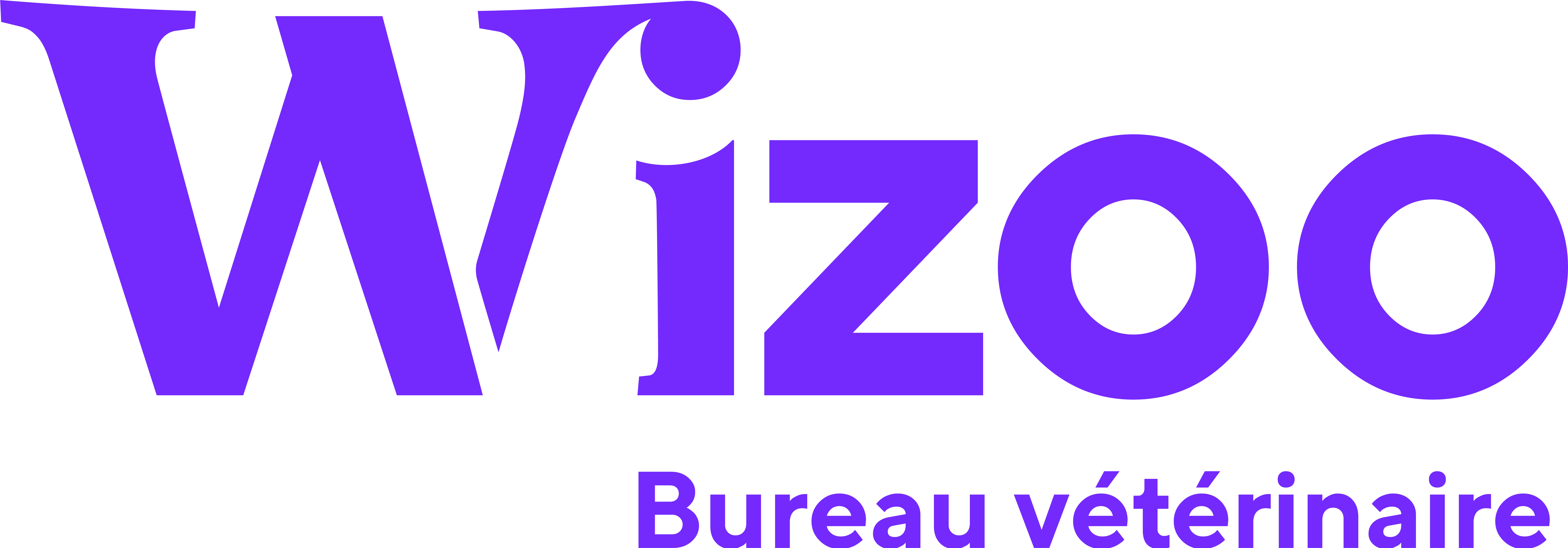 Logo Wizoo