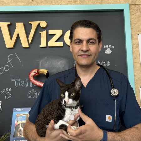 Dr Dr Osama Attia
